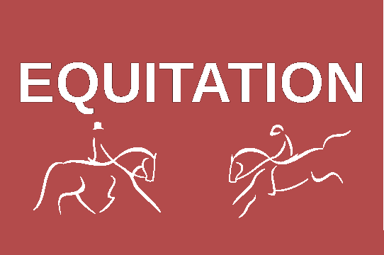 Les metiers du cheval - Interviews - Informations - Reportages -